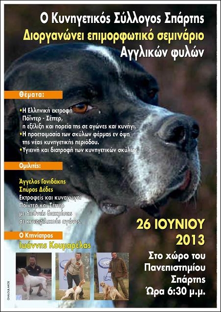 ΕΙΔΗΣΕΙΣ - ΙΟΥΝΙΟΣ 2013 AfisaSeminario