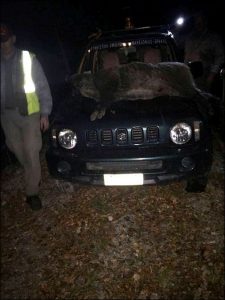 Κυνηγούσε παράνομα μέσα Καταφύγιο Άγριας Ζωής στη Φλώρινα