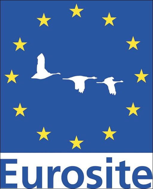 EurositeLogo