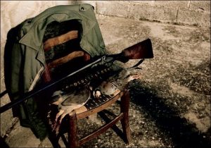 ΕΡΩΤΗΣΕΙΣ – ΑΠΑΝΤΗΣΕΙΣ 158
