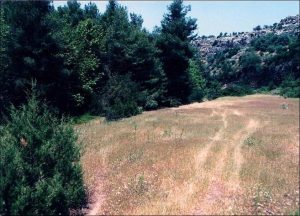 ΜΙΑ ΑΚΟΜΗ ΑΠΟΠΕΙΡΑ ΓΙΑ ΞΕΚΑΘΑΡΙΣΜΑ ΤΩΝ ΔΑΣΩΝ