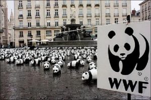 TO WWF ΚΑΙ ΟΙ ΠΑΓΕΤΩΝΕΣ, ΓΡΑΨΕ ΛΑΘΟΣ