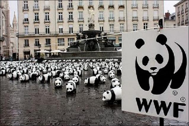 WwfPandas