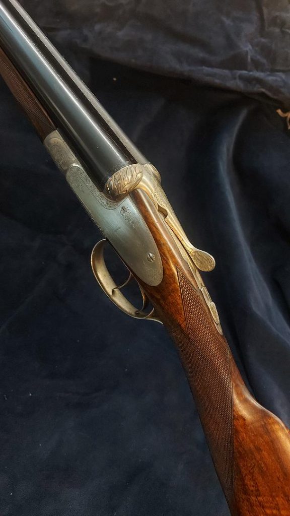 Le Cocq Action Profile 576x1024